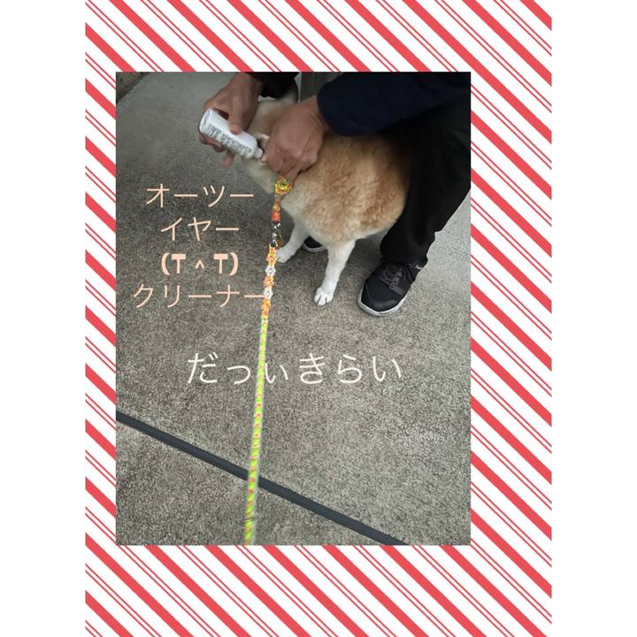 Bd857583 264b 4985 a4b5 c6516217bd3f 1640043333813