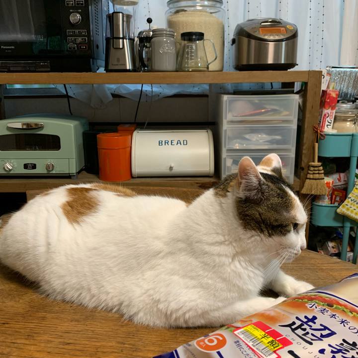 Bd8586b4 c2cf 4421 b903 d9753fd543f7 1687911991457