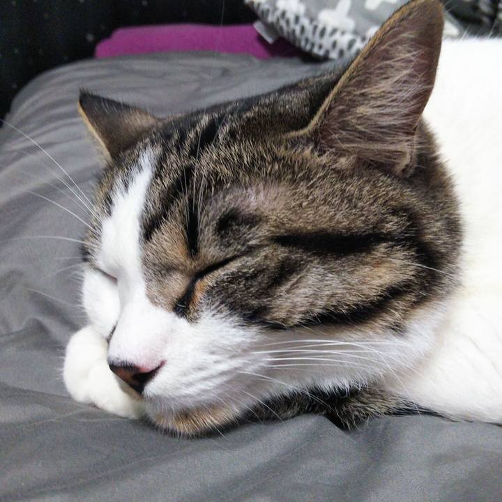 Bd85a531 af09 4f98 8c9b e1dae269b4bb 1624612832687