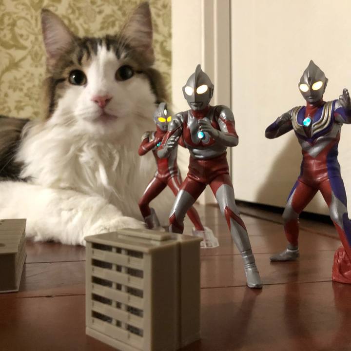 Bd85d7a8 2e2d 4791 8f06 378eb846256d 1541744401403