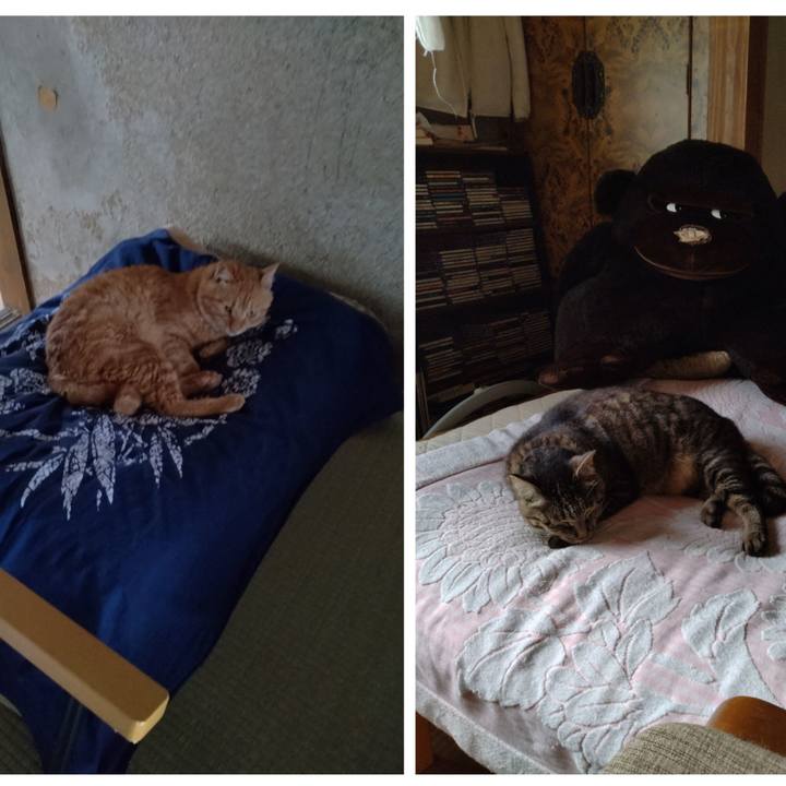 Bd860bf7 f59e 4108 b78e 78645e8766ec 1689895524920