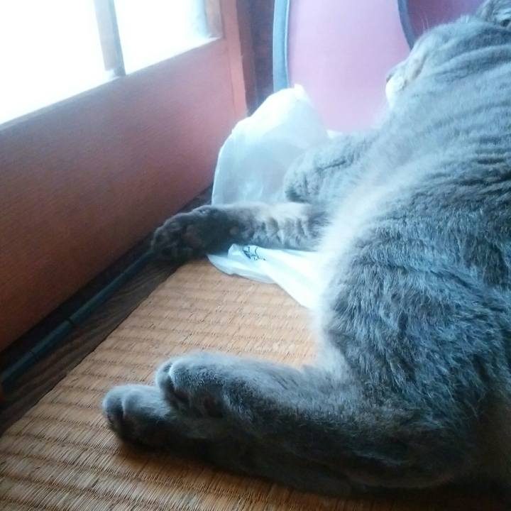 Bd862c52 02ed 450a 9043 39083fd948fe 1535159939717