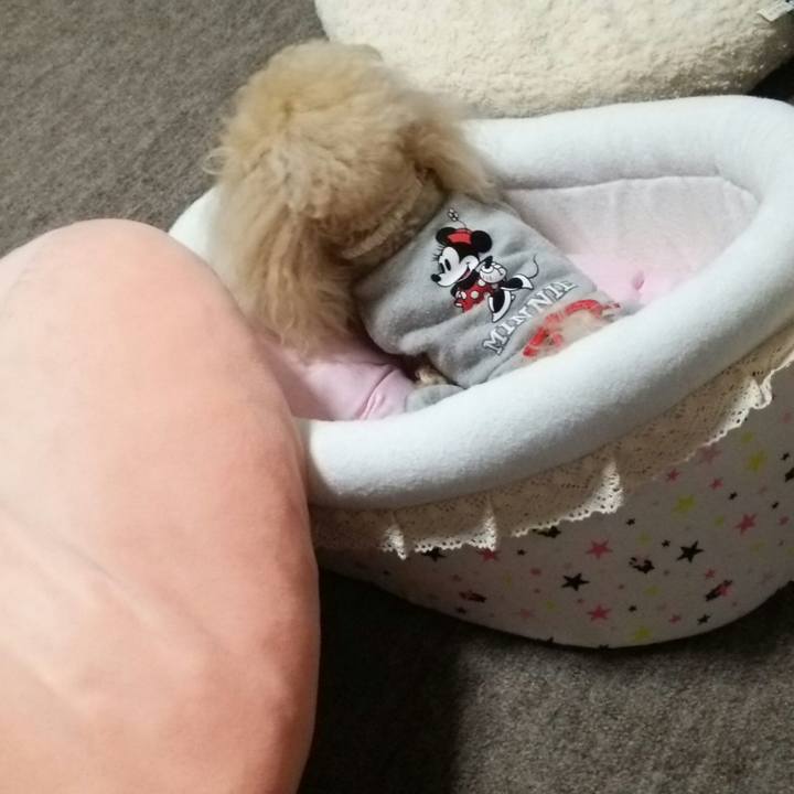 Bd8632a4 c224 4094 96c2 0fa7f8c92cfe 1529067865976