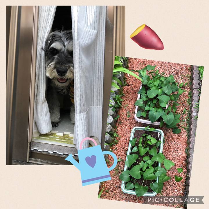 Bd8696ad 8c5e 4cf5 8107 e8e839cc866c 1656253375013