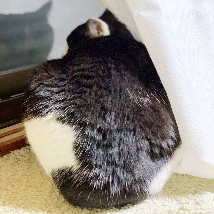 Bd869c24 6a77 40fb b799 c2eefde0ee35 1552874818968