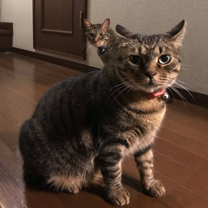 Bd869fdd 05db 479d b443 6202b8b45558 1561383293181