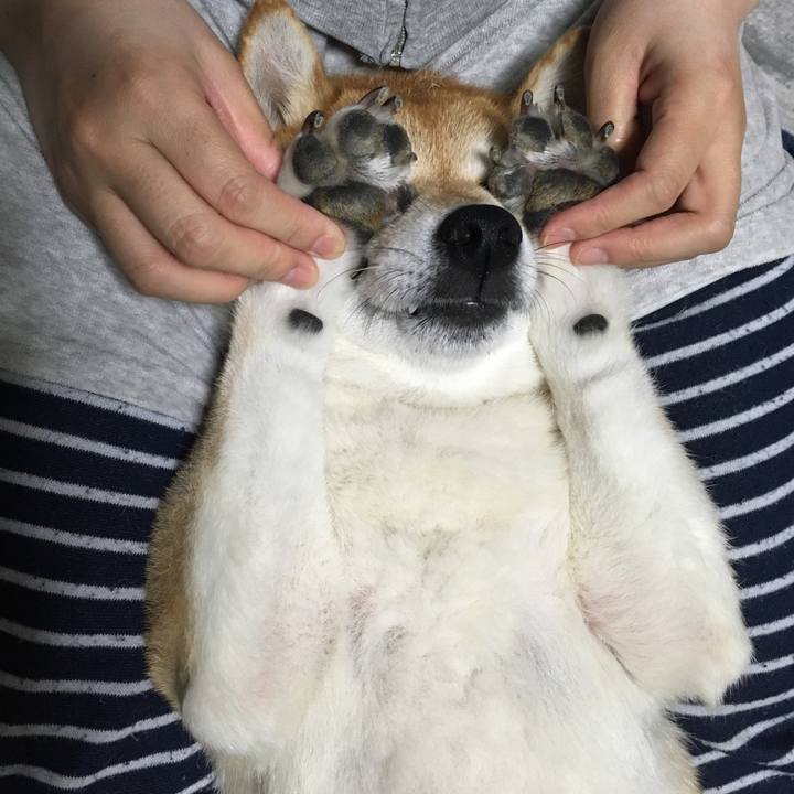 Bd86a142 1853 42e1 94d1 14ea0c7874b4 1604176710955