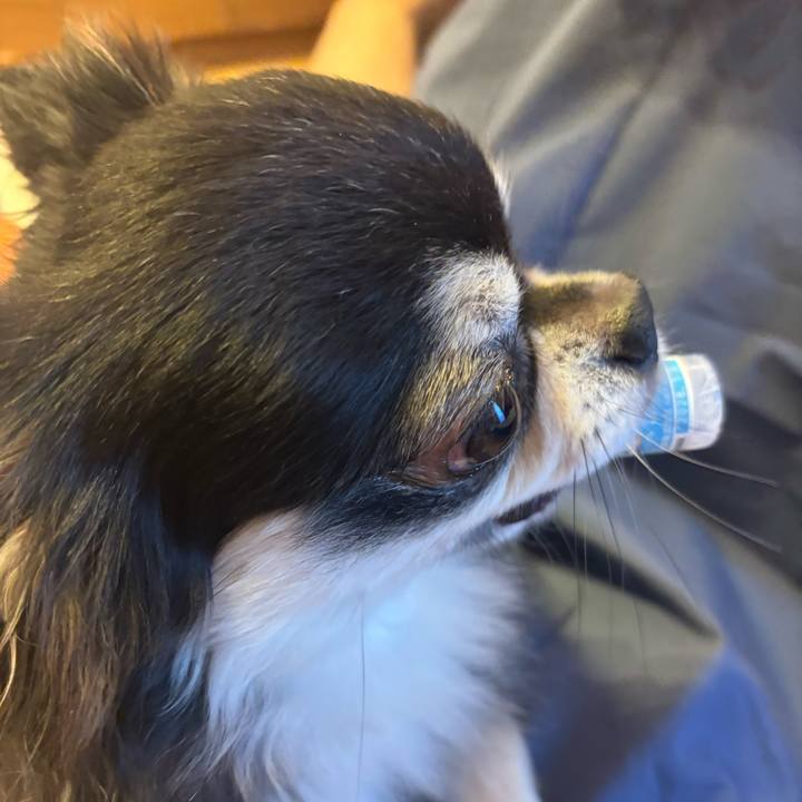 Bd86b96f daee 4e80 8633 6a5c2d7f70c5 1754237587923