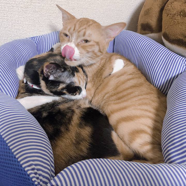 Bd86bd84 f634 41a5 abeb d16e789dfea0 1569492999443