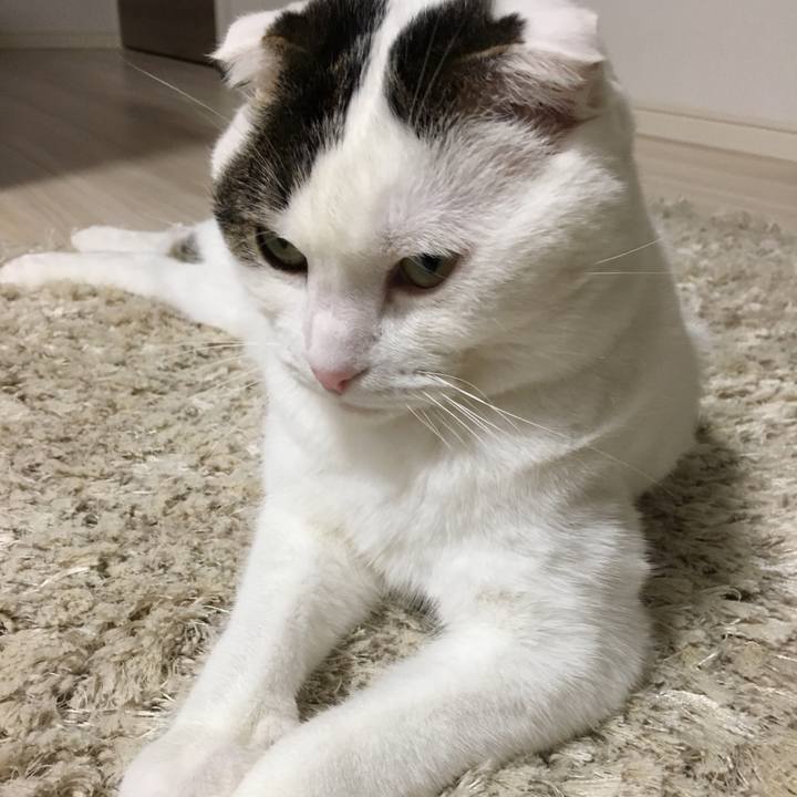 Bd86d17d 2c9a 4deb 801a 027461c0eb9d 1514698683018