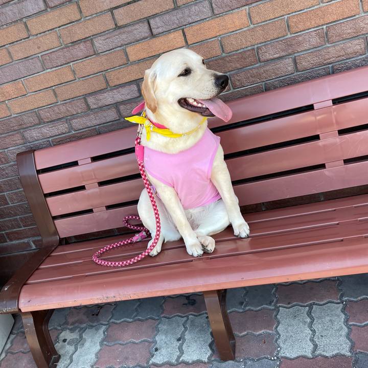 Bd871152 4979 4f0a 97d6 4188841a2d06 1633568090768