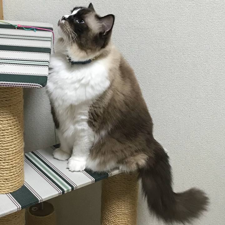 Bd8762f2 b37c 4628 a242 f747f6f8d147 1507878284527