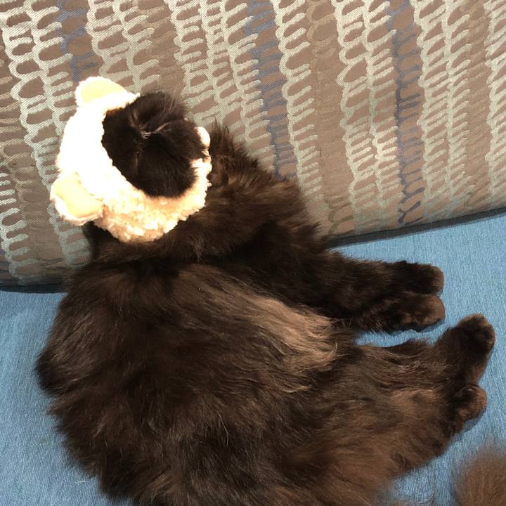 Bd8768d5 4c27 4949 8427 c33e9700ee55 1537714117903