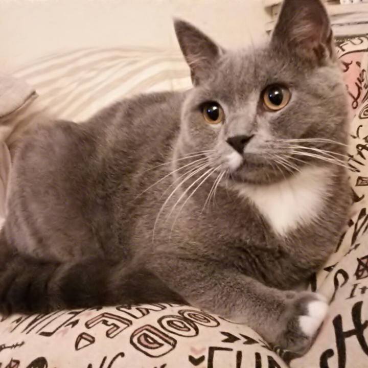 Bd876dd0 e718 4822 a5cc 0576a67d8df3 1539386384107