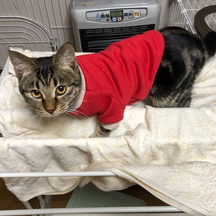 Bd877ee7 e2df 49ac ba95 db733512ecc8 1738332354945