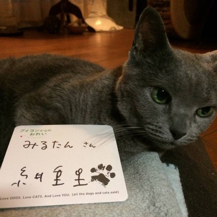 Bd87c192 583f 4688 be43 e48df72a1898 1527502622099