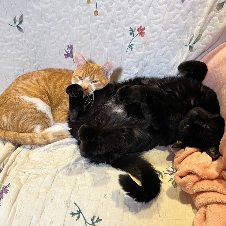 Bd87fbe1 848f 41ef 95f5 a42fc4edff1f 1675671917632