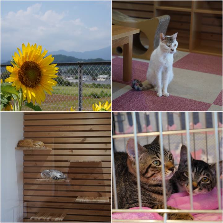 Bd8816ac c986 4cef b9da 2ecc477d87ee 1568347254351