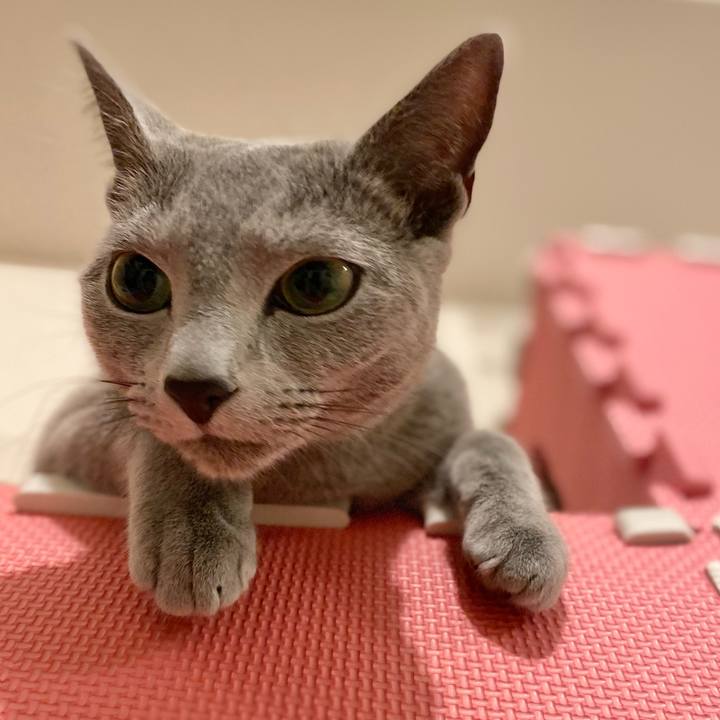 Bd882dfa 9055 48b8 9191 db4f2acf5abc 1621769395412