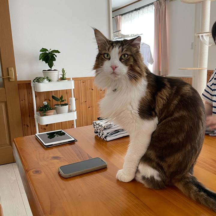 Bd883f96 8281 4eda b496 3da3b0ffd846 1663470168300