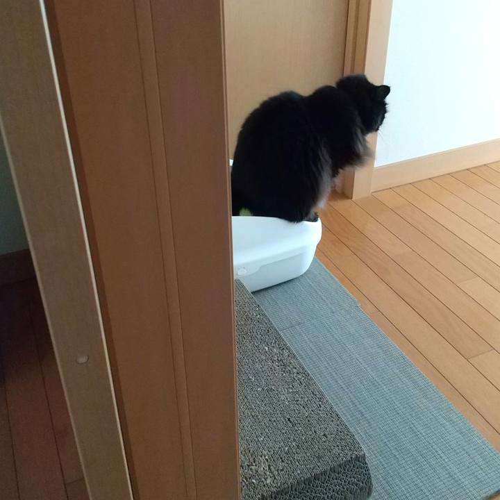 Bd884518 9b27 4f0e ba59 a8c88fa19861 1631258944925