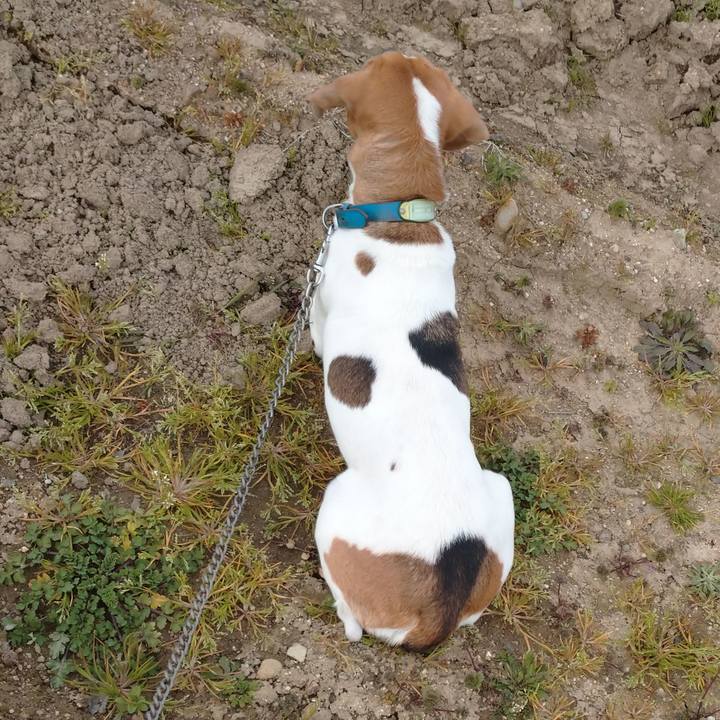 Bd886e60 7c0b 45e4 bb93 81f52286daf8 1612857394207