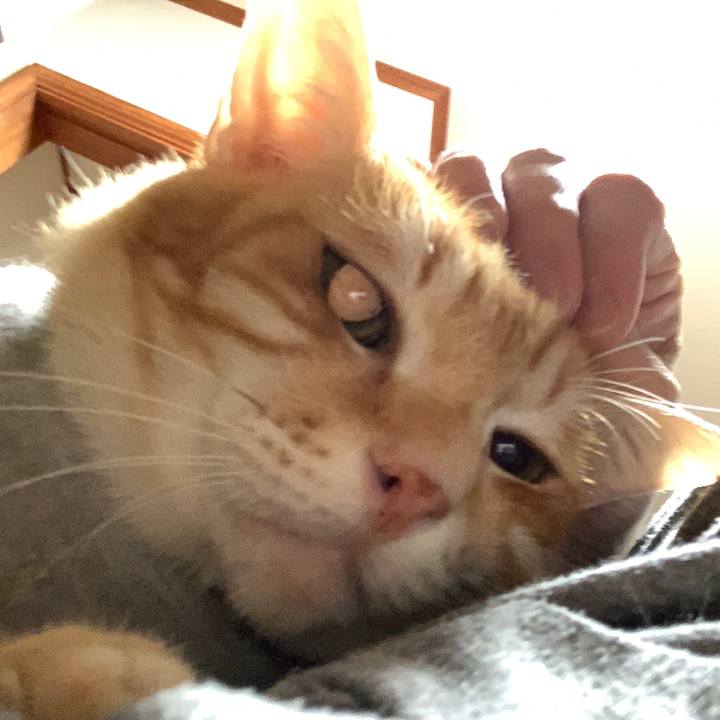 Bd887ff9 2fd1 4257 a2c5 e55203e8d38a 1611323661997