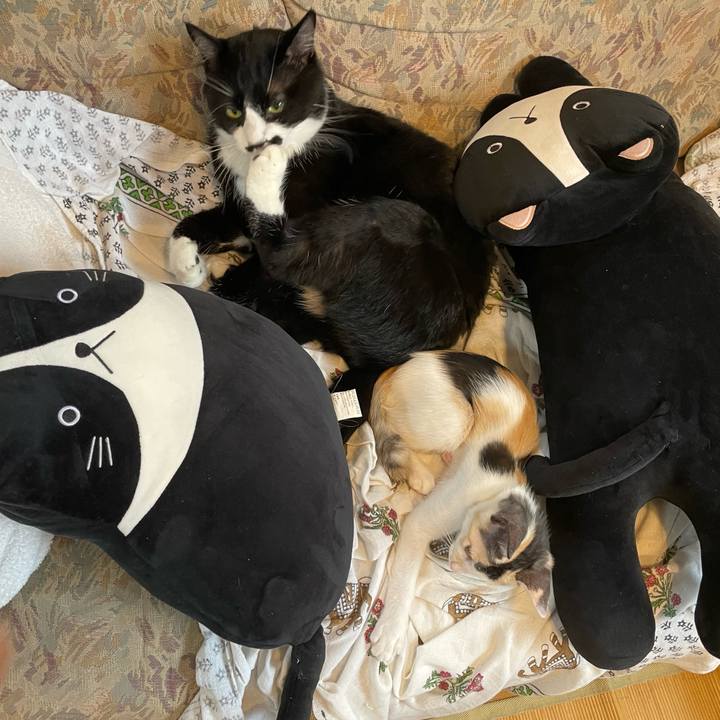 Bd888cc2 db94 4598 b89f 944d8cf45dd5 1659824946869