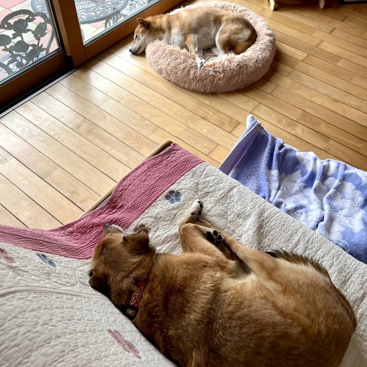 Bd88a15b 9ea8 4d7b ad9a 840f037e4049 1742206174736