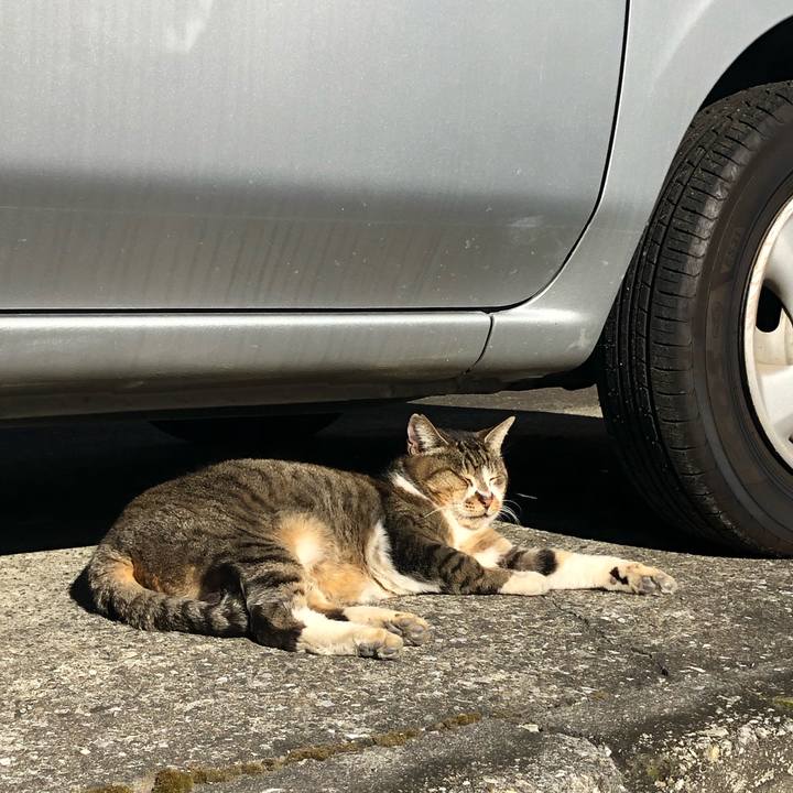 Bd88d03b adb7 404a 81e3 7578fc1c3cde 1546656963921