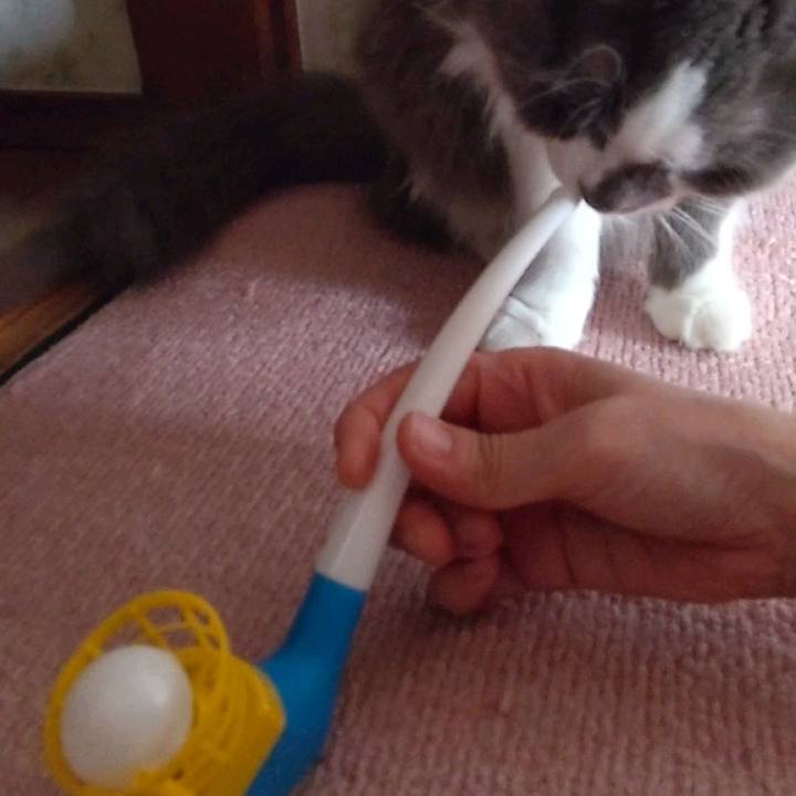 Bd894624 3111 428b 939f 75e5dfbe4315 1660431619452