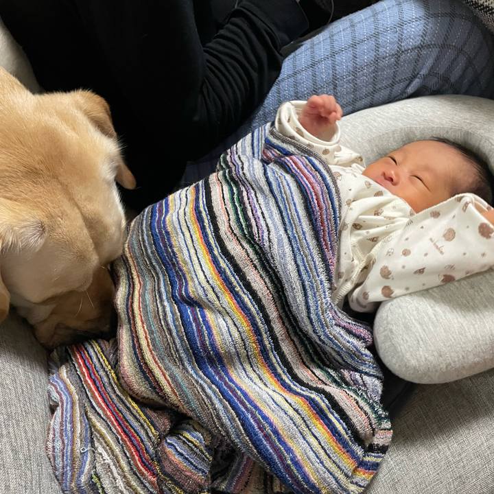 Bd8950ac 1025 43b3 9dea 957e249ec7b7 1712152224309