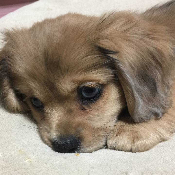 Bd898558 4ce6 4e56 bfe0 ad1fbf8297d5 1725410034022