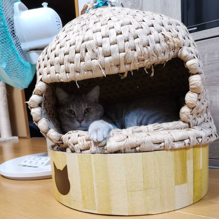 Bd89a3af 4d45 4450 b4ec 25fcc4ddf1b7 1602338151460