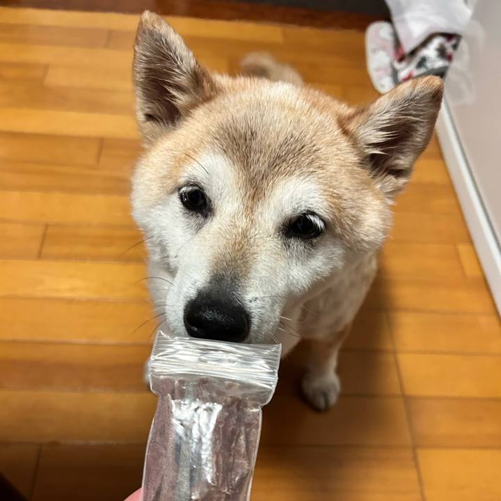 Bd89b06a 3071 4f6f adc4 dcc22c10c7f2 1753011071511