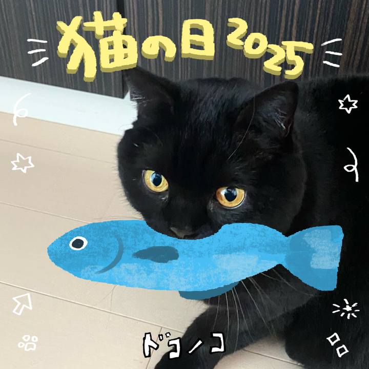 Bd89d5c7 dcc4 45b3 92d3 b6edcca561e5 1740186168911