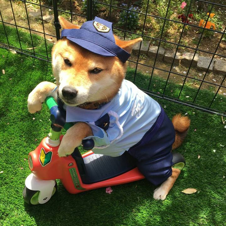 Bd8a04e2 075c 4bbe a6ee 3baf2396e549 1555737004344