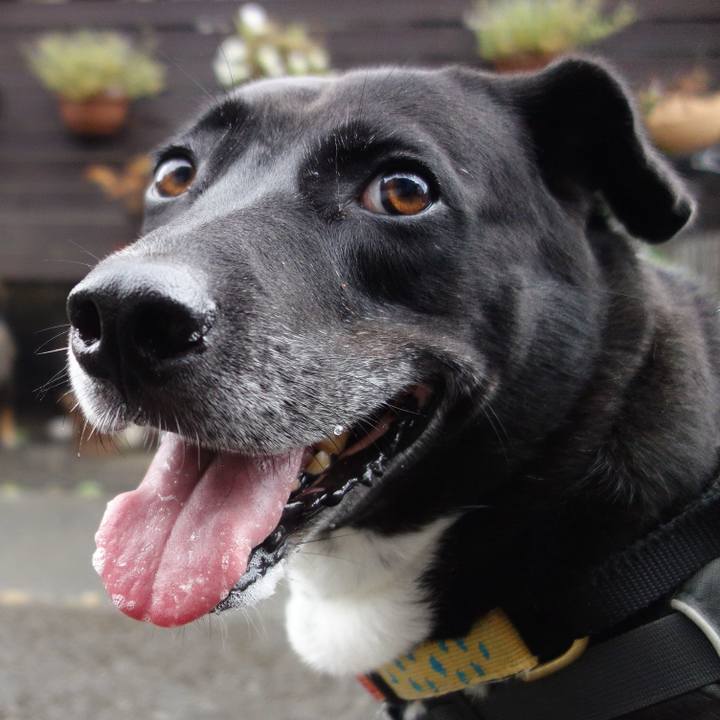 Bd8a0e68 3a0d 4693 aab3 fd86a2ea3f53 1665191337442