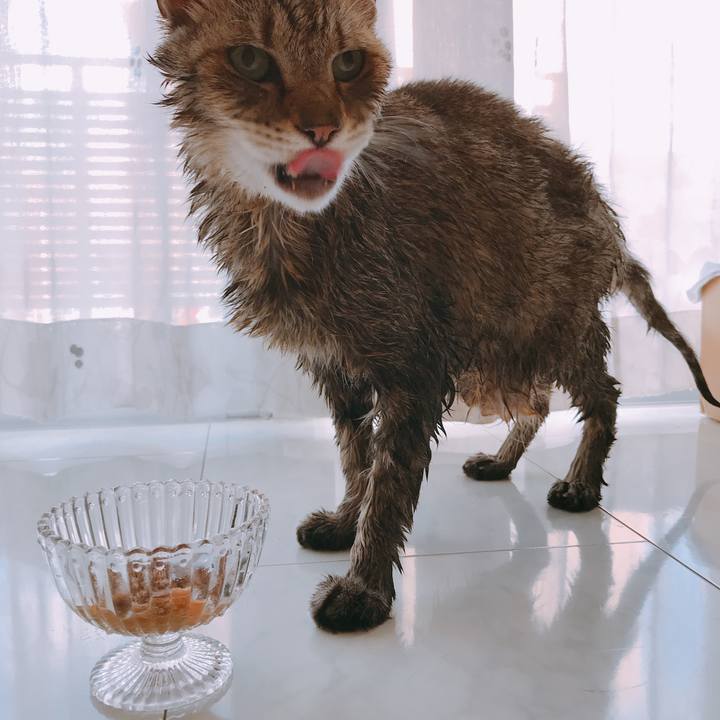 Bd8a1830 be18 4bca b257 dafad3d56938 1596183835600