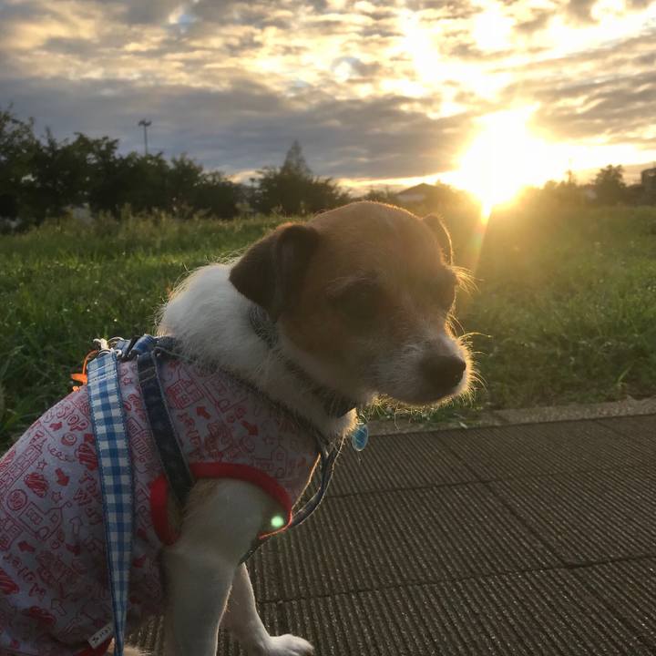 Bd8a4bee 1e9d 4c32 b55e a0752d76a4da 1536615663261