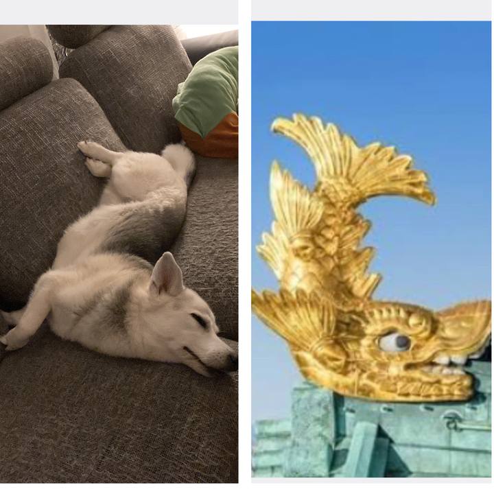 Bd8a5ffa 9617 4805 9a1a cb580e7fdab4 1662141521896