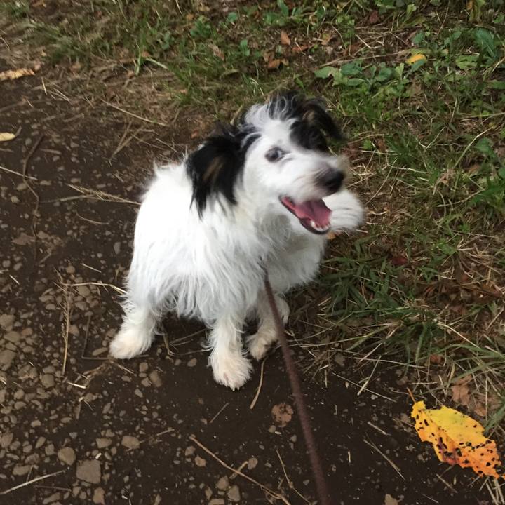 Bd8a8756 820c 4cba 9fa1 c145bdd1c128 1509574070251