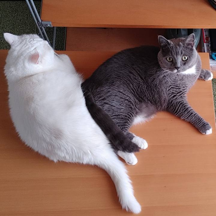 Bd8aa2f2 1c2d 49a9 b9b2 7ea85bfbb532 1663463235243