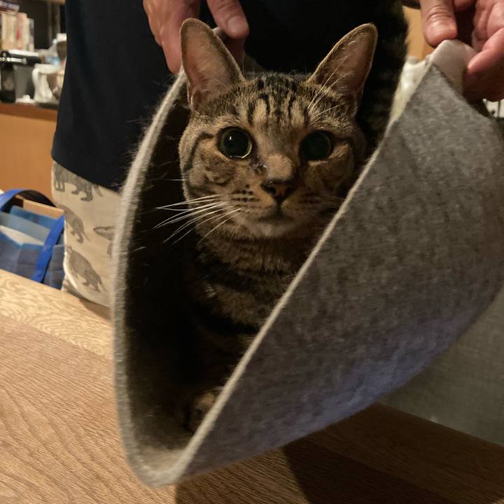 Bd8ae4d1 a97b 49bd a57f fed9f41f18c5 1695511164055