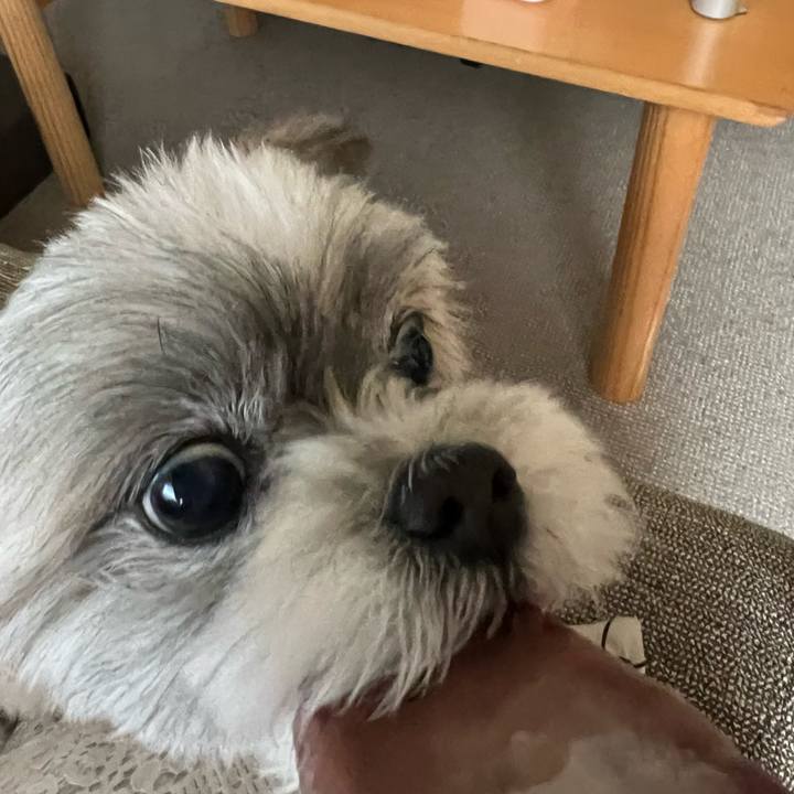 Bd8af11a de99 487b 9fe5 ca07dfceb5e8 1690784916450