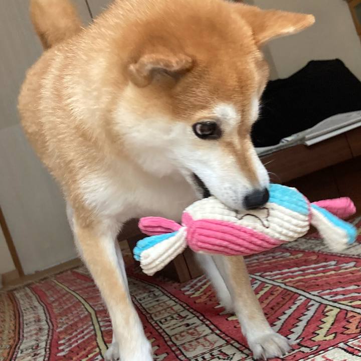 Bd8b06e8 d4da 4025 8708 d83eec8b9417 1724914027316