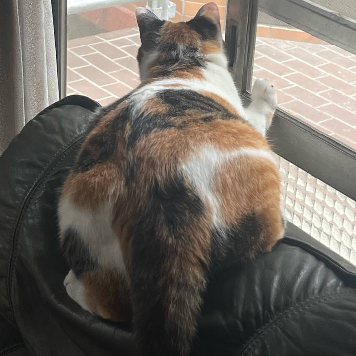 Bd8b3def 4609 49fd 9b12 6b09d2d0684d 1755238658996