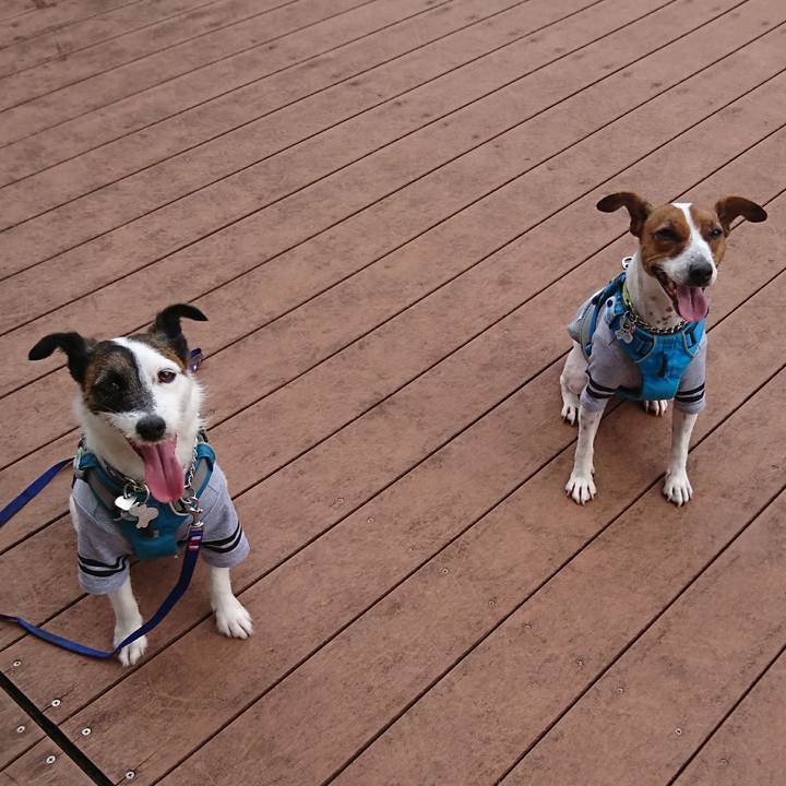 Bd8b4700 168c 4264 97d9 bc99af44c31c 1593135347580