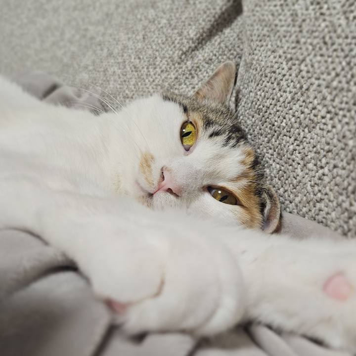 Bd8b7b61 51eb 4408 b330 e3d29b8c29ce 1773986133580