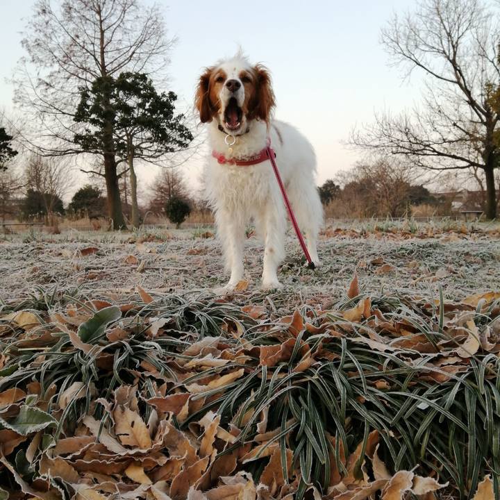 Bd8ba8e8 0637 447f a751 75568414dc14 1610538649749